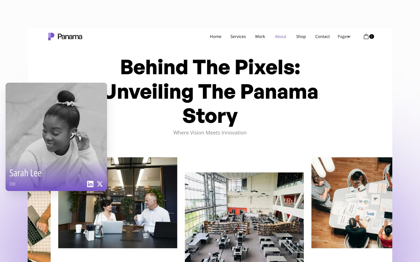 Panama preview 3