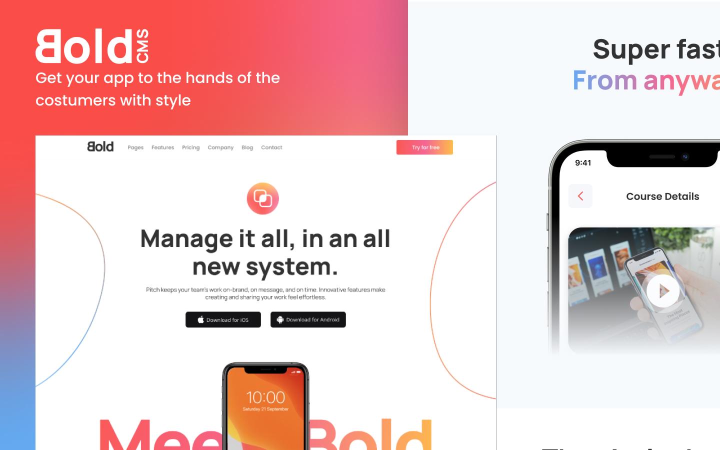 Bold CMS preview 1